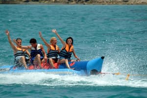 thumbnail: Sports and Entertainment