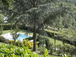 thumbnail: Property grounds