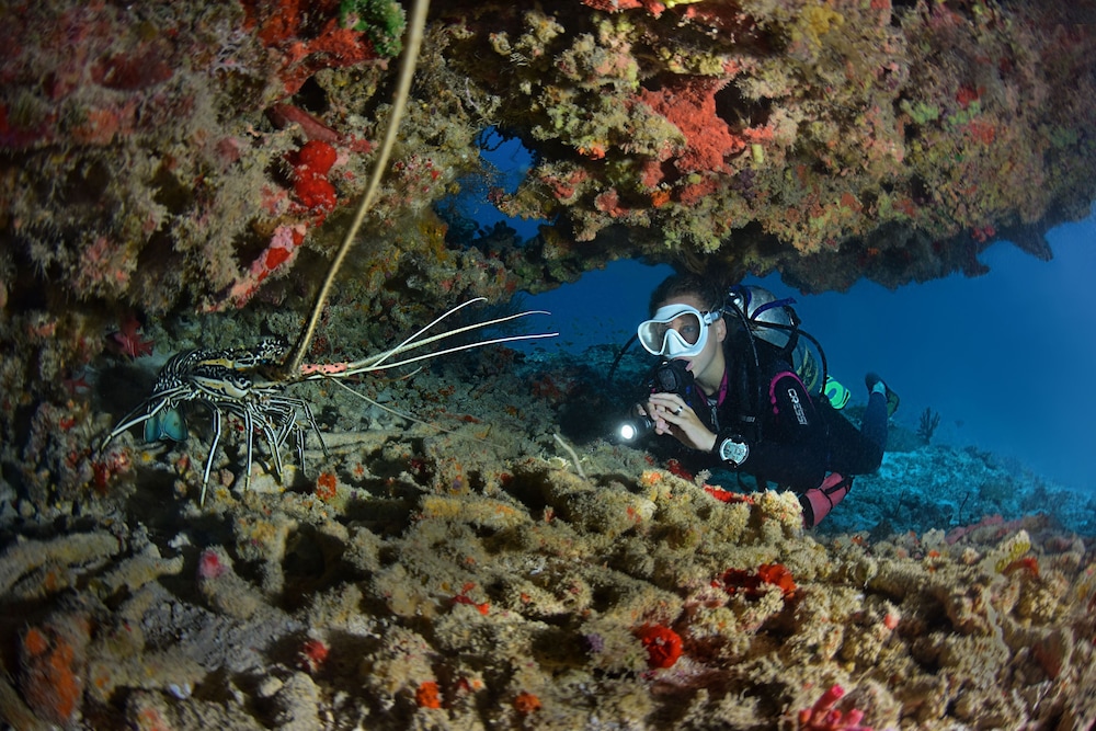 Surfing/boogie boarding