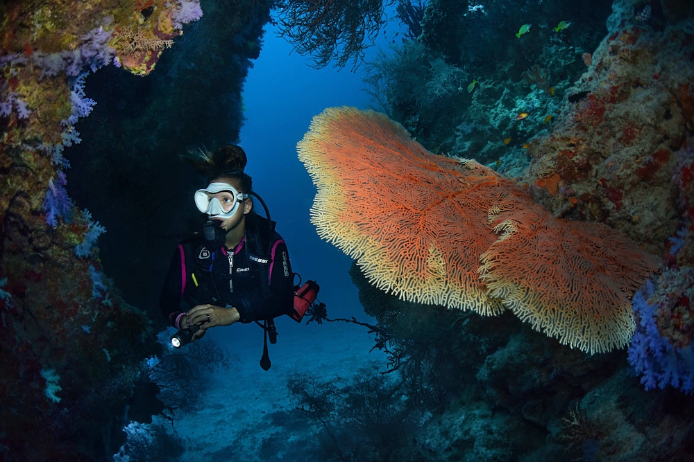Surfing/boogie boarding