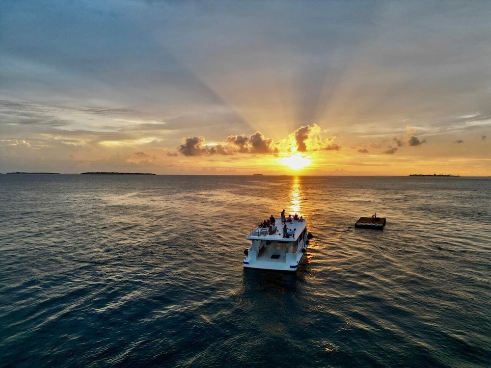 Surfing/boogie boarding