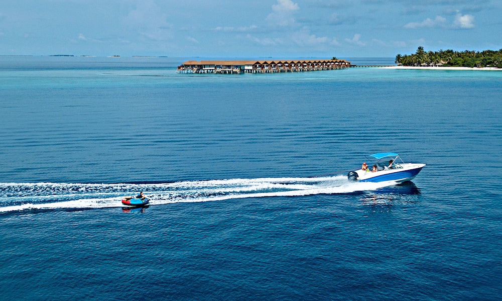 Surfing/boogie boarding