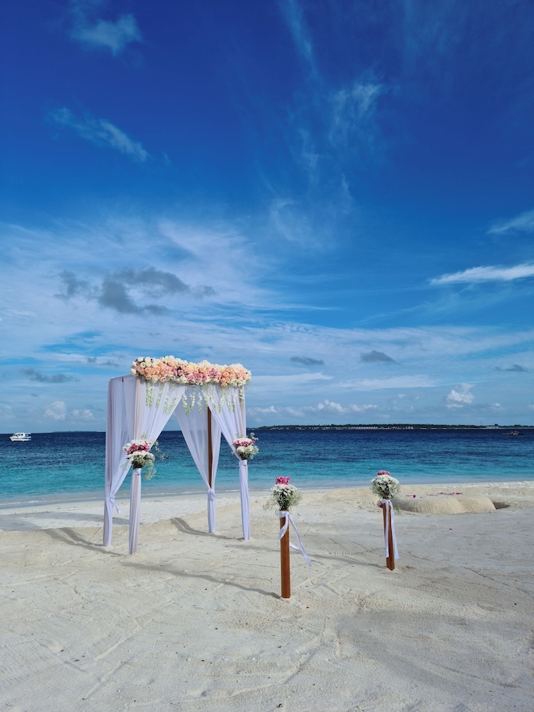 Outdoor wedding area