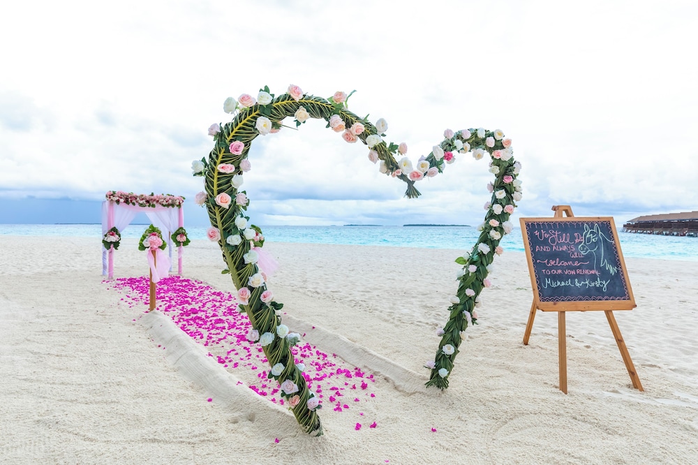 Outdoor wedding area