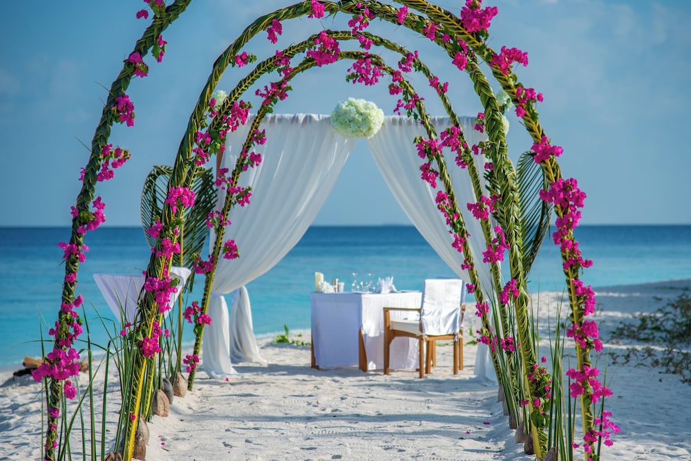 Outdoor wedding area