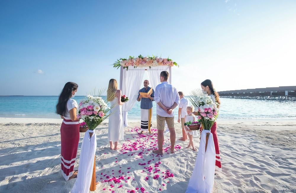 Outdoor wedding area