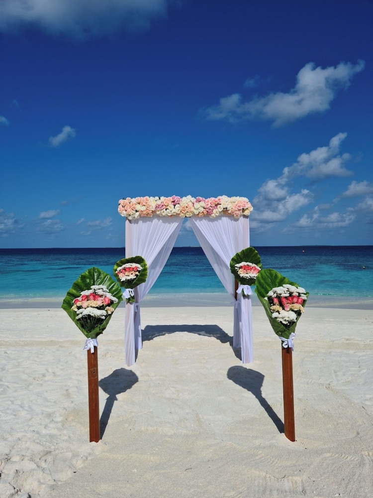 Outdoor wedding area
