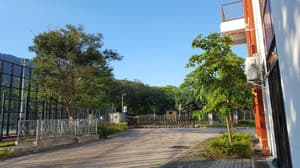 thumbnail: General view