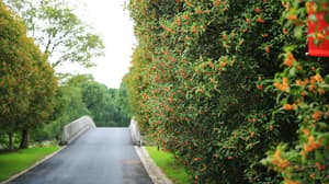 thumbnail: Property amenity