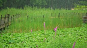 thumbnail: Property amenity