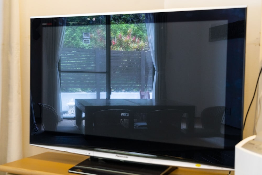 Television