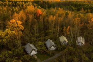 thumbnail: Property grounds