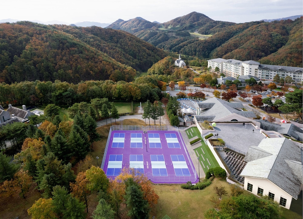 Sport court