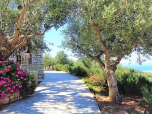 thumbnail: Garden