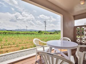thumbnail: Garden view