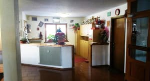 thumbnail: Reception