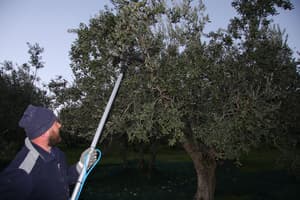 thumbnail: Property amenity