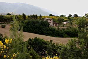 thumbnail: Aerial view
