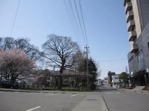 thumbnail: Exterior