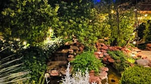 thumbnail: Garden view