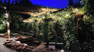 thumbnail: Garden view