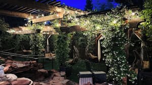 thumbnail: Garden view