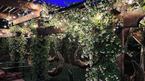 thumbnail: Garden view