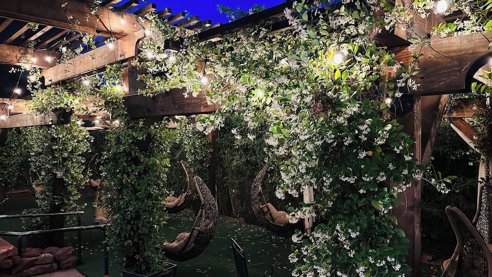 Garden view