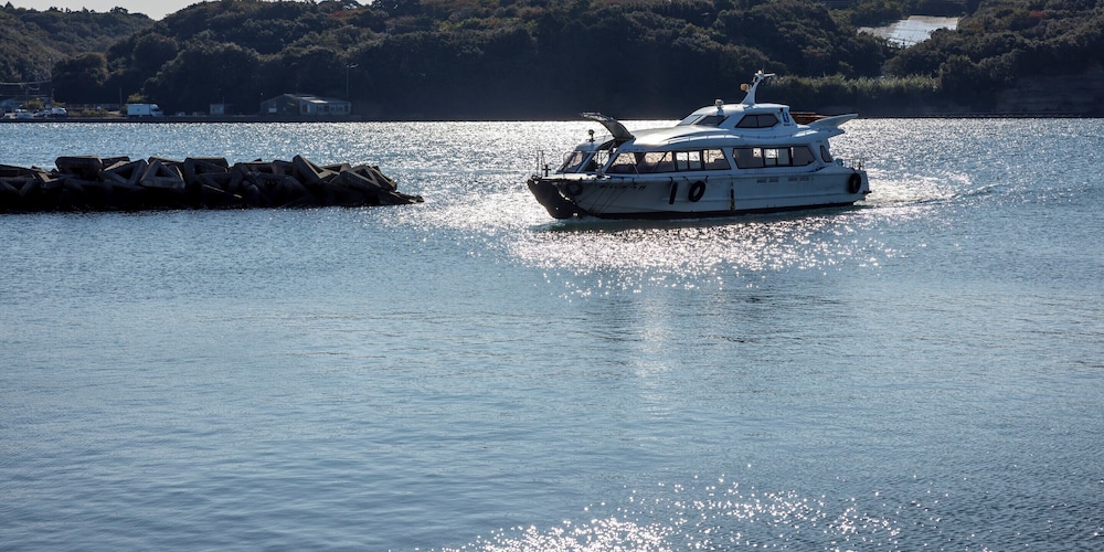 Ferry terminal shuttle