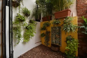 thumbnail: Garden