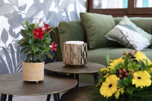 thumbnail: Interior detail