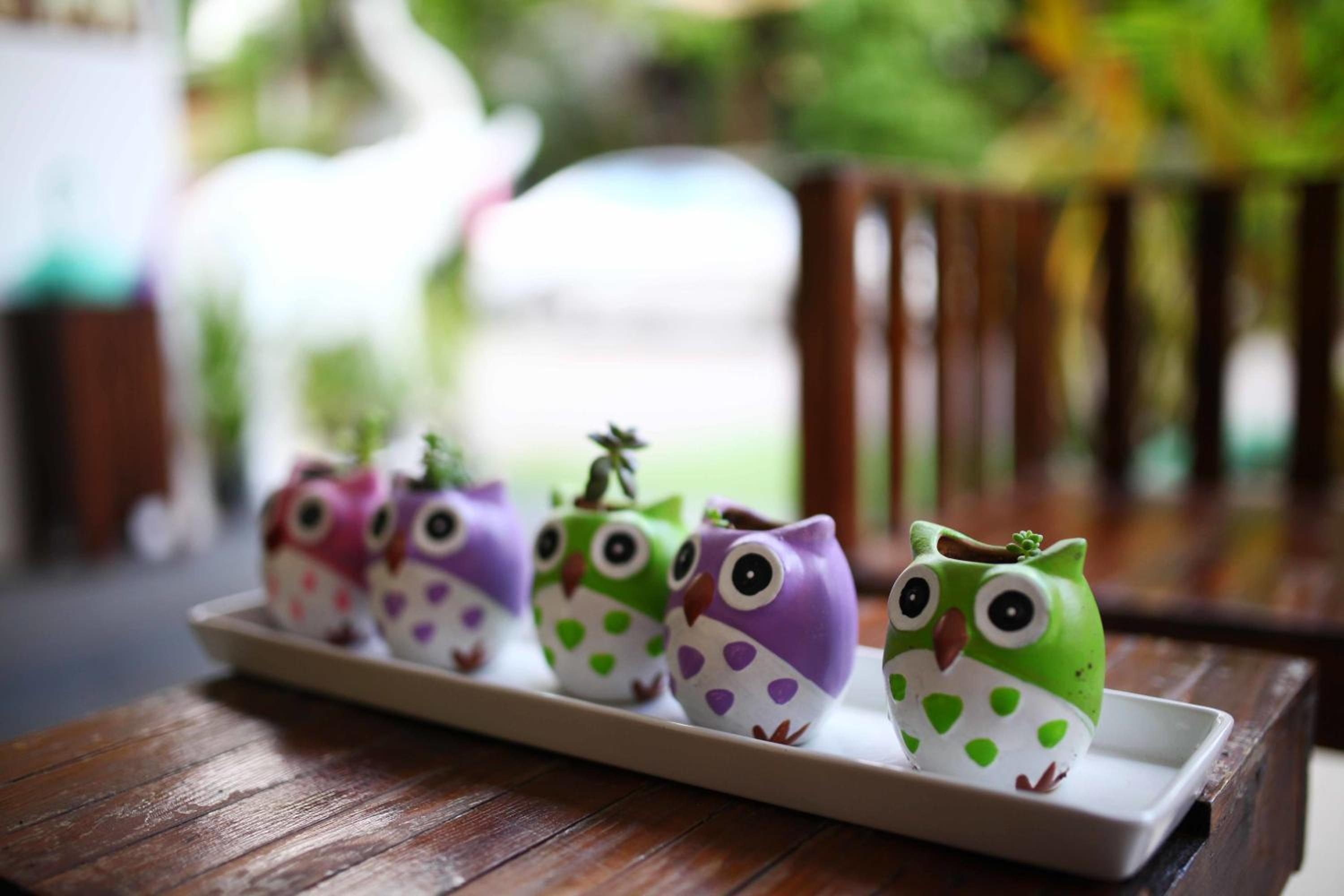 Restaurant-cafeteria