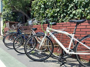 thumbnail: Bicycling