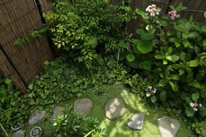 thumbnail: Garden