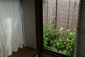 thumbnail: View from room