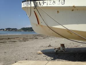 thumbnail: Point of interest