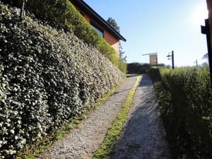 thumbnail: General view