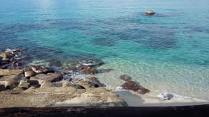 thumbnail: Beach
