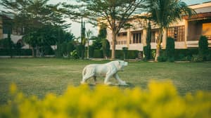 thumbnail: Horseback riding