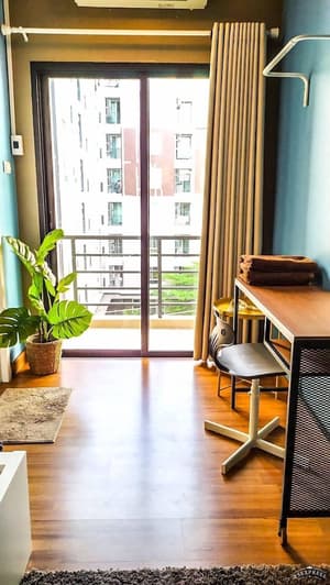 thumbnail: Terrace/patio