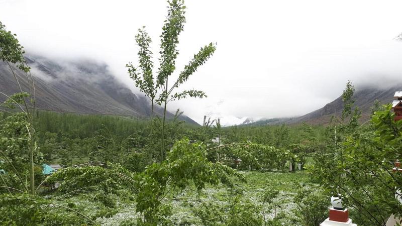General view