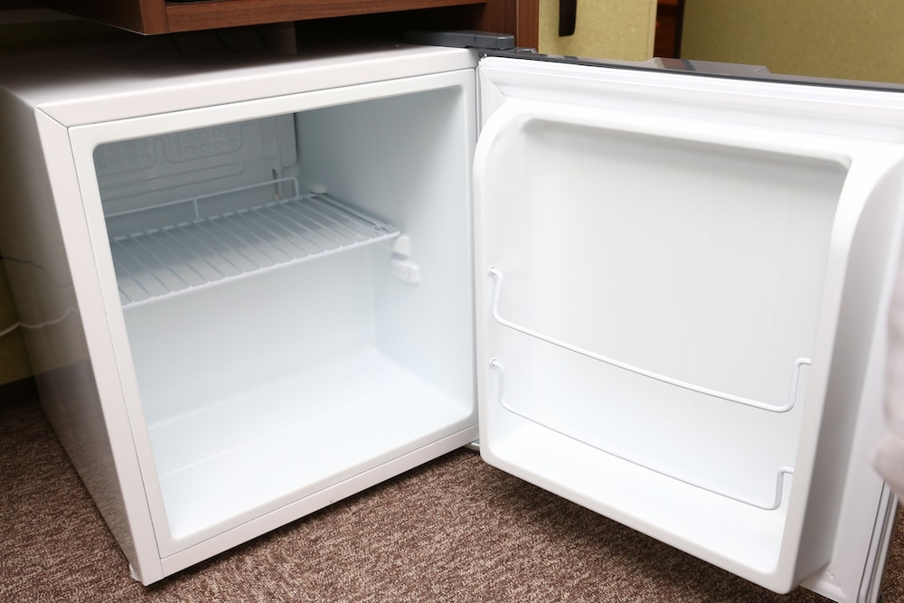 Mini-refrigerator