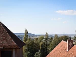 thumbnail: General view