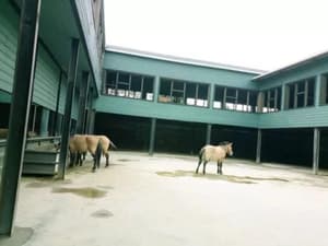 thumbnail: View from property