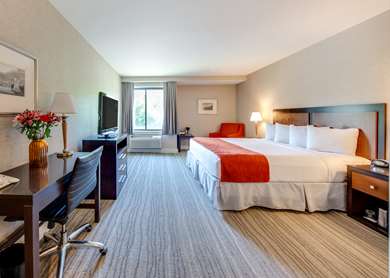 Guest Room,Bed,King bed,On-Site,Single Room