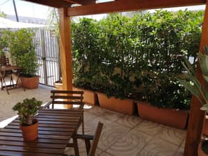 thumbnail: Garden view