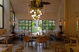 thumbnail: Dining