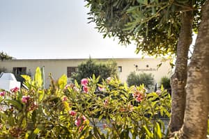 thumbnail: Garden