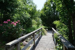 thumbnail: Garden