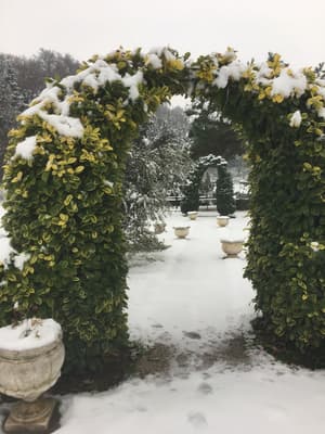 thumbnail: Garden